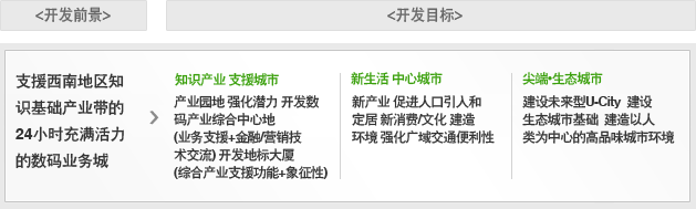 开发计划的前景及目标