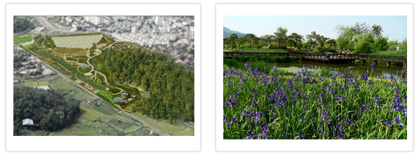 Pureun Arboretum