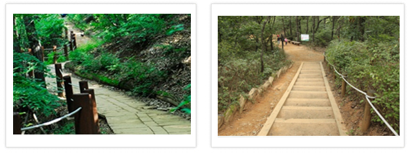 Myeongpum Guro olle trail