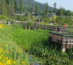 Pureun Arboretum · Hang-dong Rail Tracks 