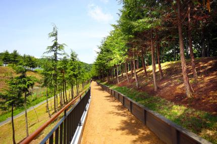 연지근린공원 황톳길 의 이미지