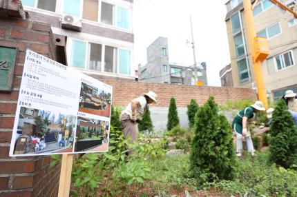 2025.6.30 고척동 마을정원 식재행사 의 이미지