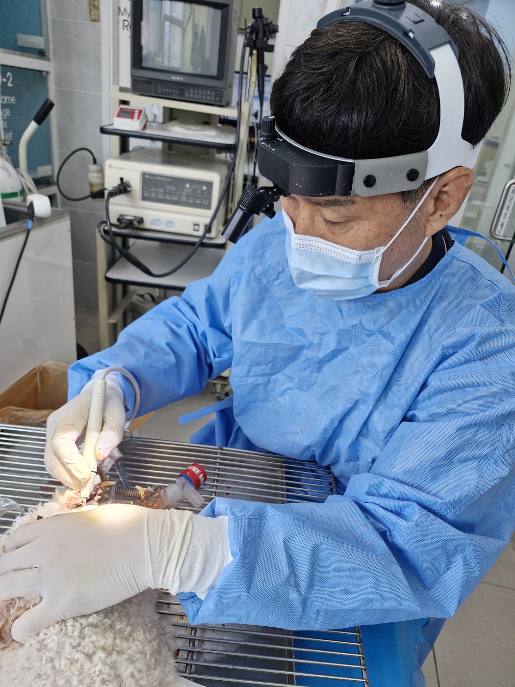 구로구, 취약계층 반려동물 의료·위탁비 지원…구조된 반려동물 입양비도 최대 25만원 1번째 파일