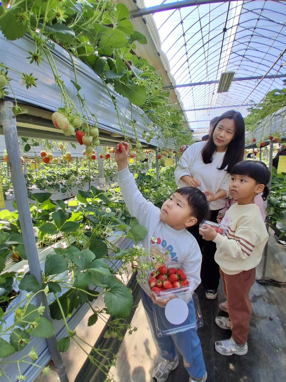 (포토) 구로구, 드림스타트 가족과 함께 화성 나들이 2번째 파일
