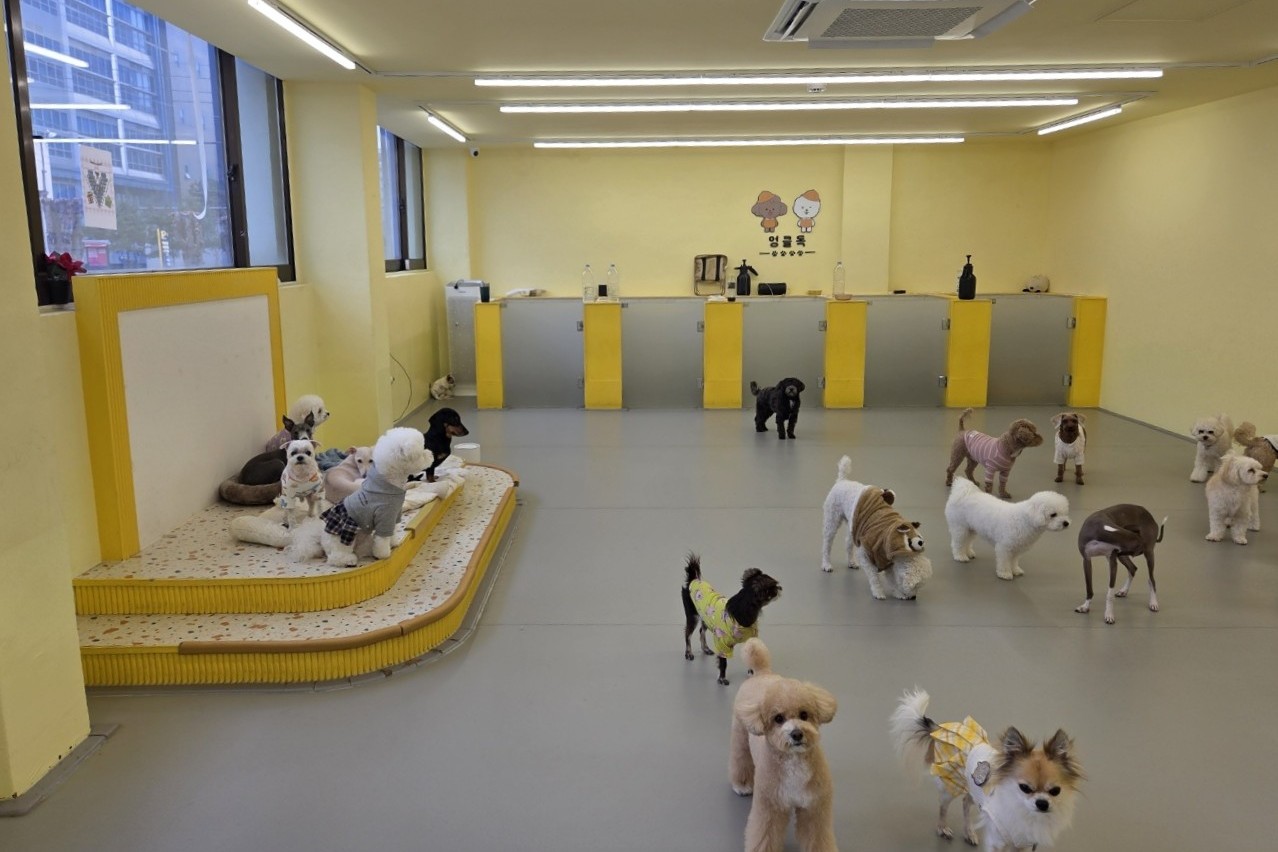구로구, ‘우리동네 펫위탁소’ 운영…취약계층 반려동물 돌봄 지원 1번째 파일