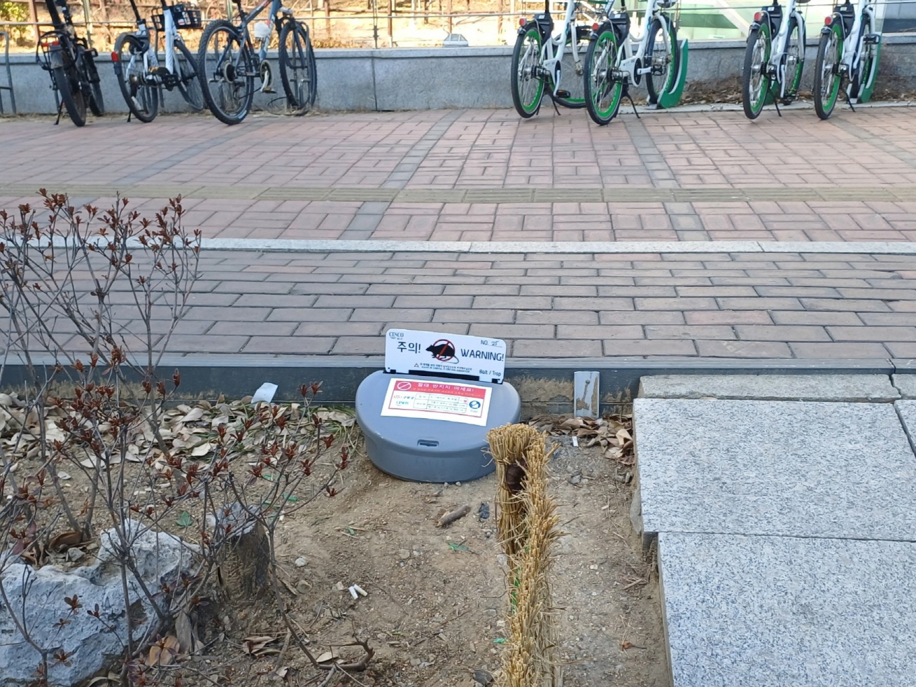 구로구, 실시간 감지하는 사물인터넷(IoT) 방제로 도심 쥐 잡는다 2번째 파일