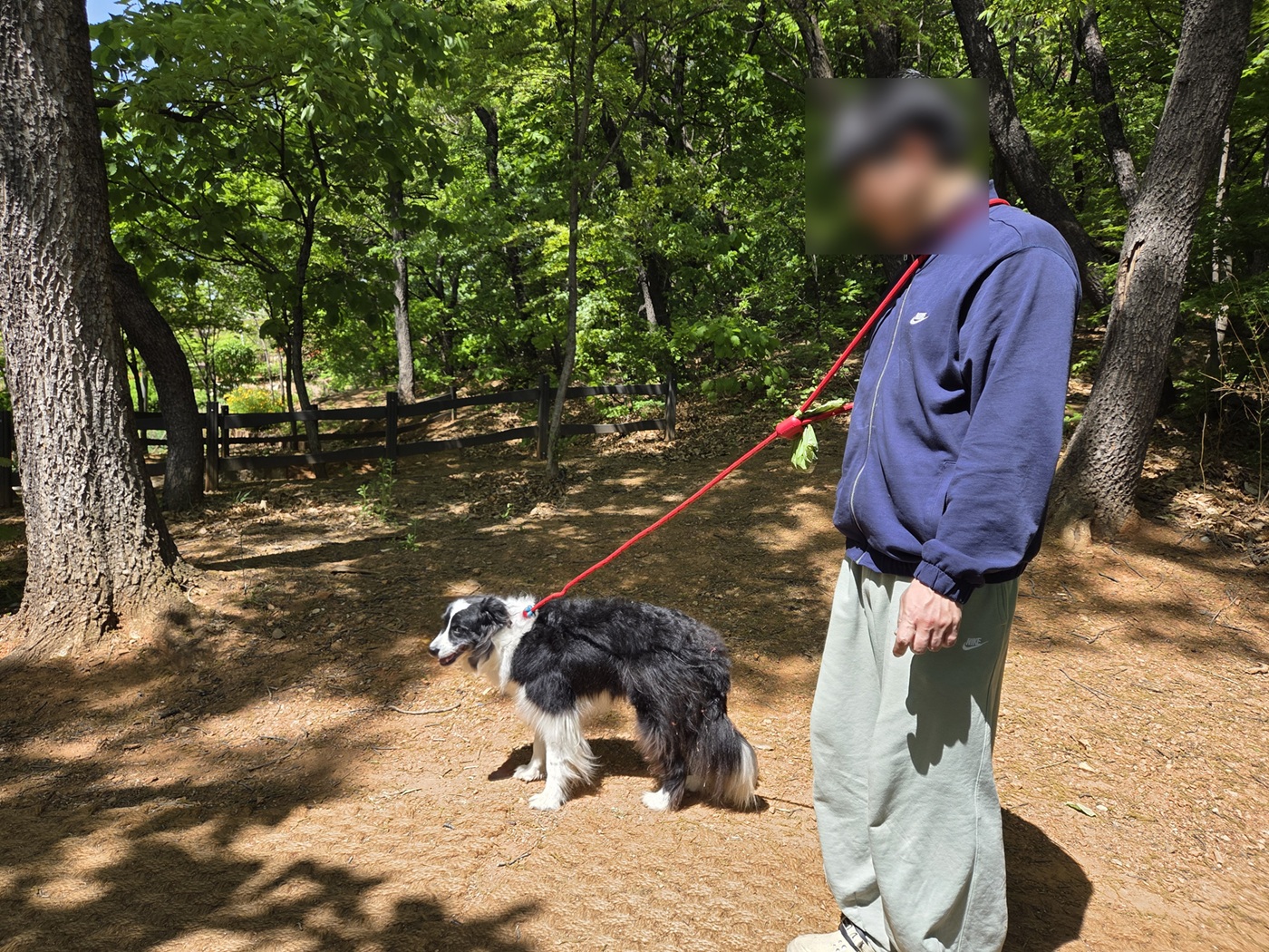 구로구, 반려견 행동교정 ＇찾아가는 펫마스터＇ 참가자 모집 1번째 파일