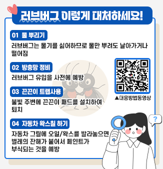 ＇러브버그＇ 이렇게 대처하세요!
 
① 물 뿌리기 : 러브버그는 물기를 싫어하므로 물만 뿌려도 날아가거나 떨어짐
② 방충망 정비 : 러브버그 유입을 사전에 예방
③ 끈끈이 트랩사용 : 불빛 주변에 끈끈이 패드를 설치하여 퇴치
④ 자동차 왁스칠 하기 : 자동차 그릴에 오일/왁스를 발라놓으면 벌레의 잔해가 붙어서 페인트가 부식되는 것을 예방
