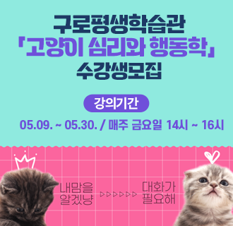 구로평생학습관 「고양이 심리와 행동학」 수강생모집

○ 강의기간 : 05.09. ~ 05.30. / 매주 금요일 14시 ~ 16시
○ 장      소 : 구로평생학습관 2관(구로구청 신관 2층)
○ 신청방법
    - 온라인 신청(구로평생학습관 홈페이지)
    - 방문 신청(구로구청 교육지원과)
○ 수 강 료 : 무료
○ 문      의 : 교육지원과 ☎860-2812