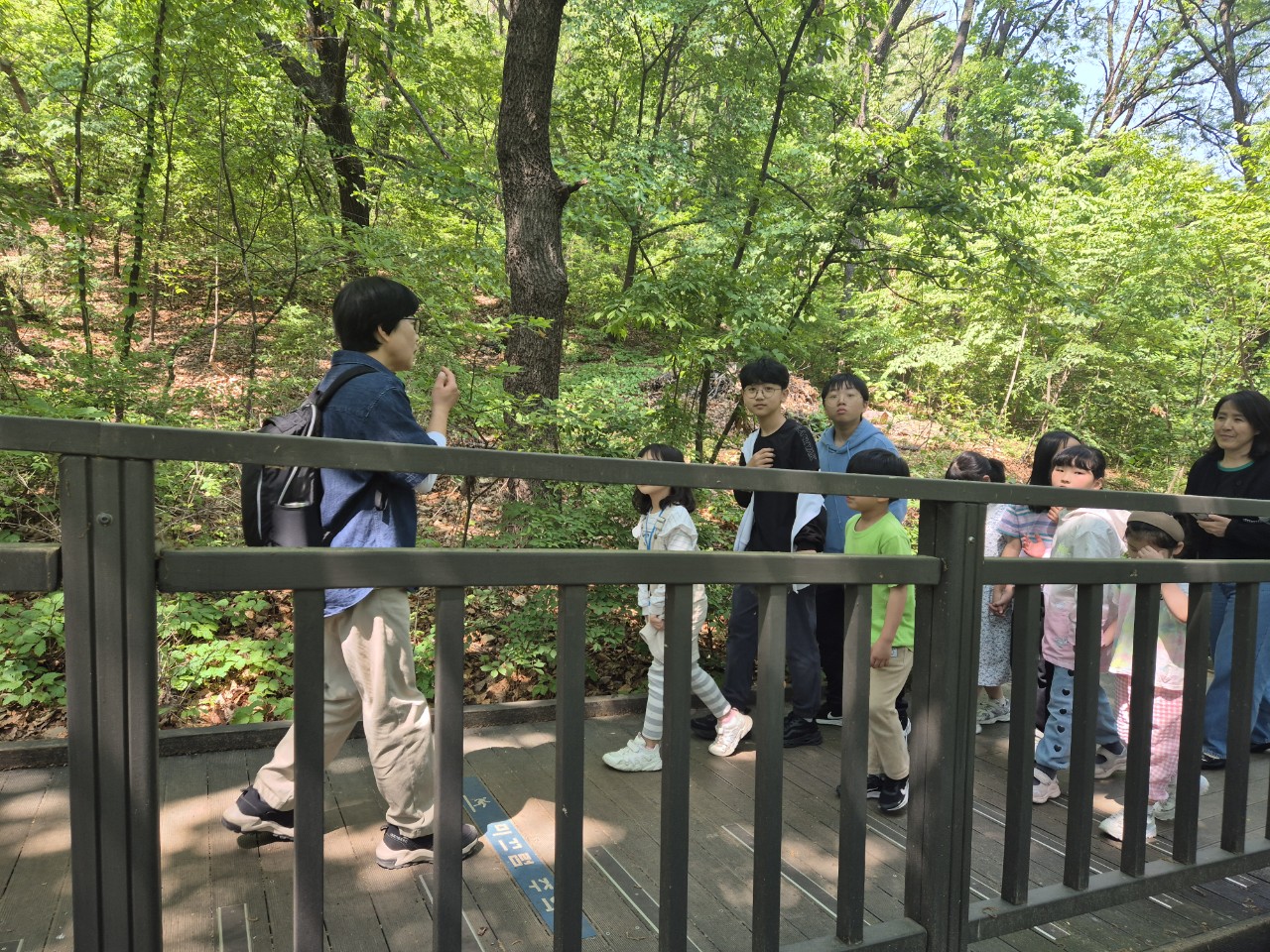 2025 진로교육 취약계층 대상 맞춤형 프로그램(5.12 남북사랑학교-숲체험) 이미지 2