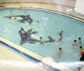 地下2层 游泳池 (儿童)