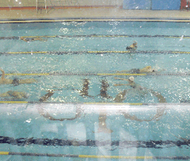 2nd Floor on the basement Swimming pool (Adults)