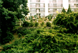 Grave of SoonJung Ryu