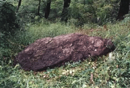 Gocheok-dong Dolmen image