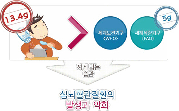 우리나라의 음식 섭취비율 - 자세한 내용은 하단 참조