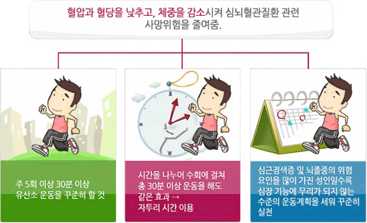 적절한 신체활동이 주는 효과 - 자세한 내용은 하단 참조