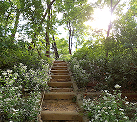 Myeongpum (Outstanding) Guro Olle Trail