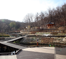 温水城市自然公园（松节地区）