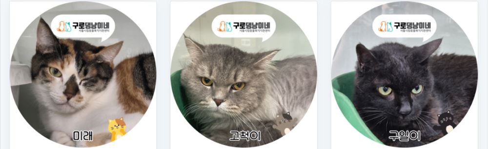 그림입니다.

원본 그림의 이름: CLP00002fd40d76.bmp

원본 그림의 크기: 가로 1111pixel, 세로 340pixel