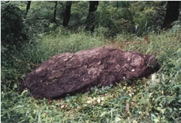 고척동 고인돌